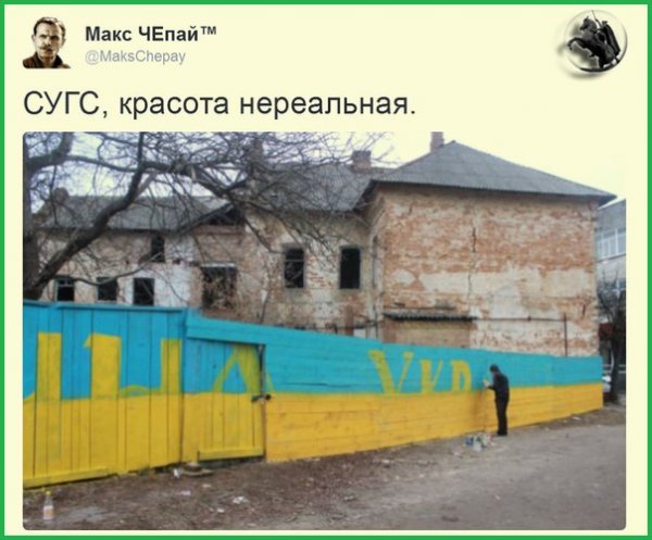 "Мыздобулы" в картинках. Смешных и не очень... 18-01-2016