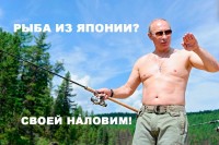 Настоящие причины санкционной войны