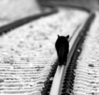 Долгая дорога в дюнах и маразм