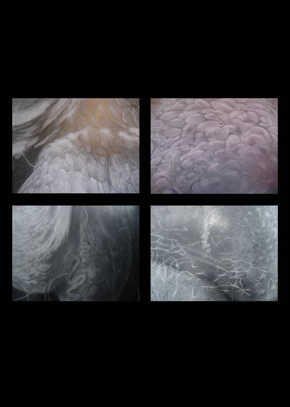 18+ Добро пожаловать в Европу. Выставка мошонок 18+ Добро пожаловать в Европу. Выставка мошонок