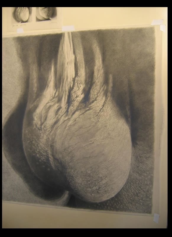 18+ Добро пожаловать в Европу. Выставка мошонок 18+ Добро пожаловать в Европу. Выставка мошонок