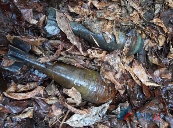 Сводка от МГБ и НМ ЛНР 5 февраля 2016 года. ВСУ переместили в Золотое более 50 единиц техники