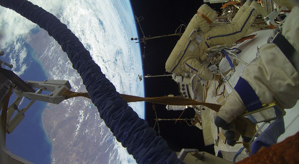 "Биоразнообразие" в космосе "Биоразнообразие" в космосе