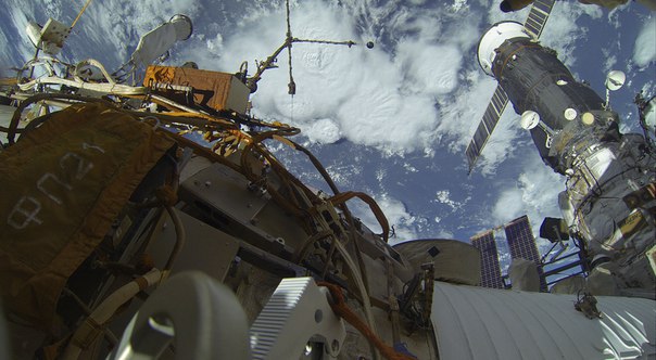 "Биоразнообразие" в космосе "Биоразнообразие" в космосе