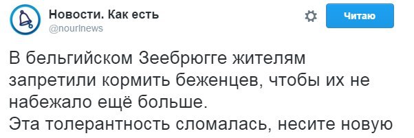 Картина маслом-31. Обзор за неделю