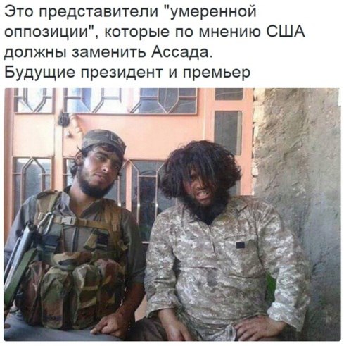 Картина маслом-31. Обзор за неделю