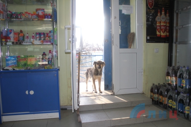 Сводка от НМ ЛНР 7 февраля 2016 года. ВСУ устраивают облавы на призывников и готовы направить на фронт женщин Сводка от НМ ЛНР 7 февраля 2016 года. ВСУ устраивают облавы на призывников и готовы направить на фронт женщин