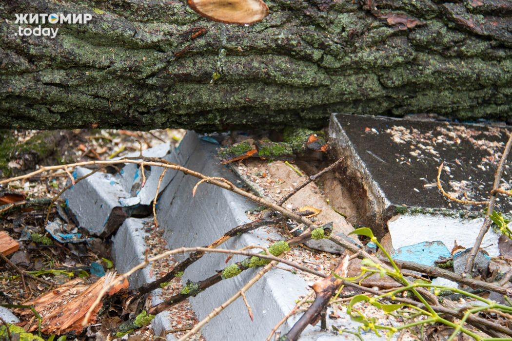 Житомирские коммунальщики повредили десятки надгробий на военном кладбище Житомирские коммунальщики повредили десятки надгробий на военном кладбище