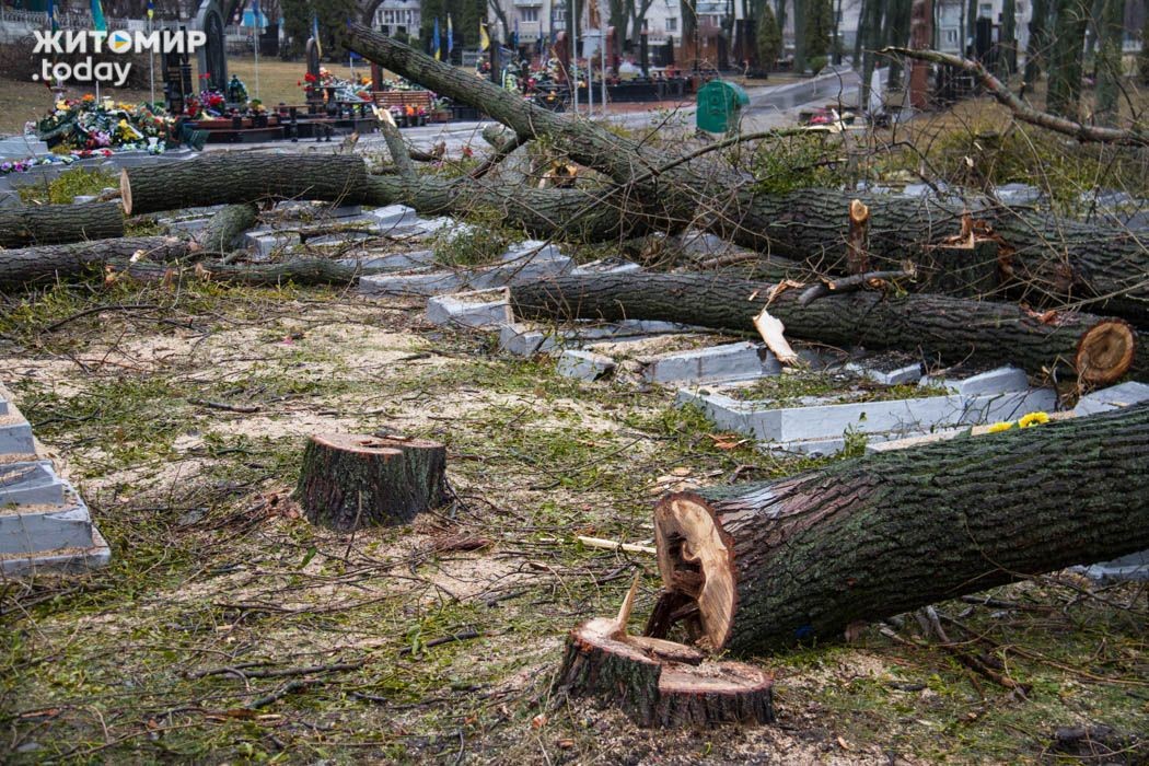 Житомирские коммунальщики повредили десятки надгробий на военном кладбище Житомирские коммунальщики повредили десятки надгробий на военном кладбище