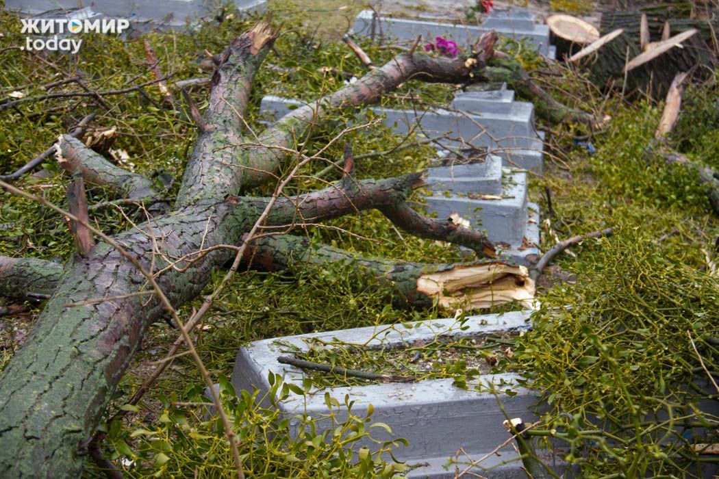 Житомирские коммунальщики повредили десятки надгробий на военном кладбище Житомирские коммунальщики повредили десятки надгробий на военном кладбище