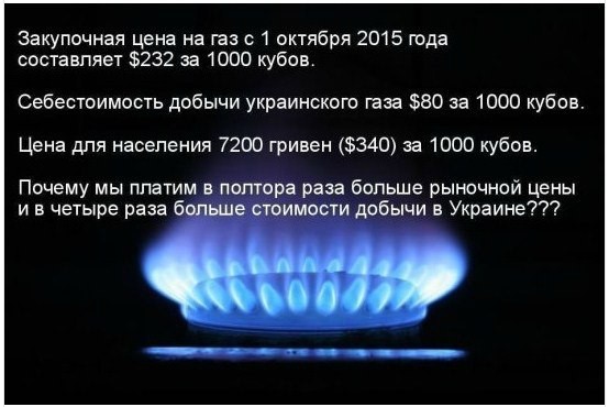 Возвращение «святого» Анчоуса и почему кролики могут быть ядовиты