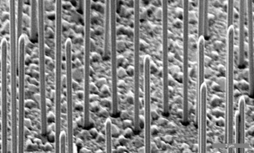 Новая подборка новостей мира науки и техники 20-02-2016 Новая подборка новостей мира науки и техники 20-02-2016