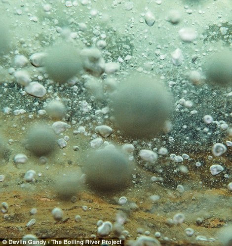 В амазонских джунглях найдена река, в которой можно свариться заживо В амазонских джунглях найдена река, в которой можно свариться заживо