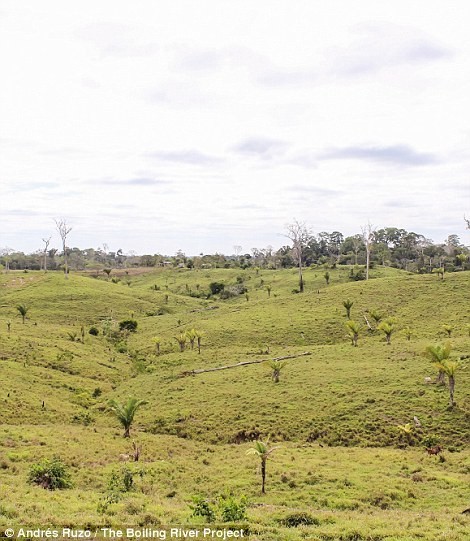 В амазонских джунглях найдена река, в которой можно свариться заживо В амазонских джунглях найдена река, в которой можно свариться заживо