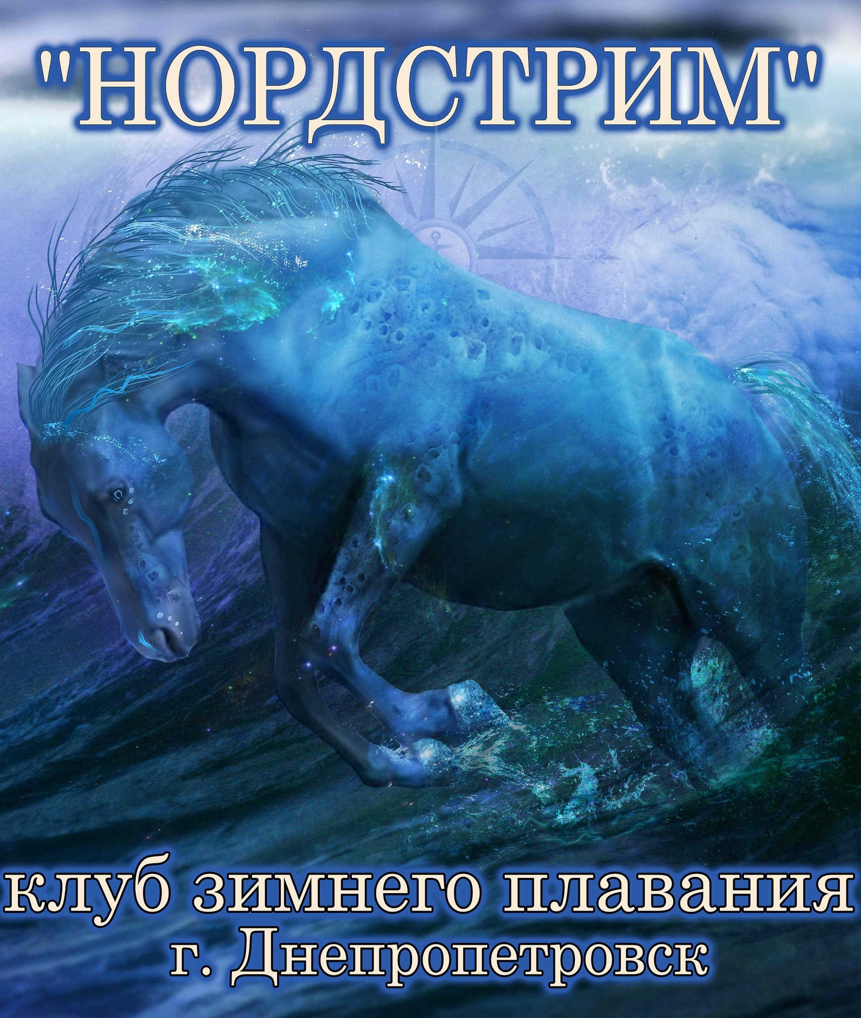 Капитаны клубов "Нордстрим" и "Заря Новороссии" провели в Керчи экстремальный заплыв