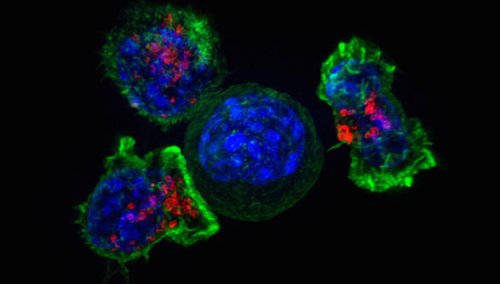 Новая подборка новостей мира науки и техники 28-02-2016