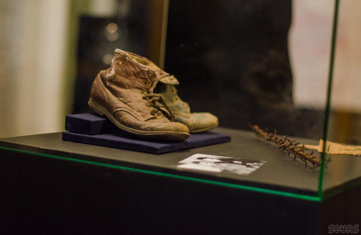 Чтобы помнили: выставка «Советский Нюрнберг» открылась в Севастополе