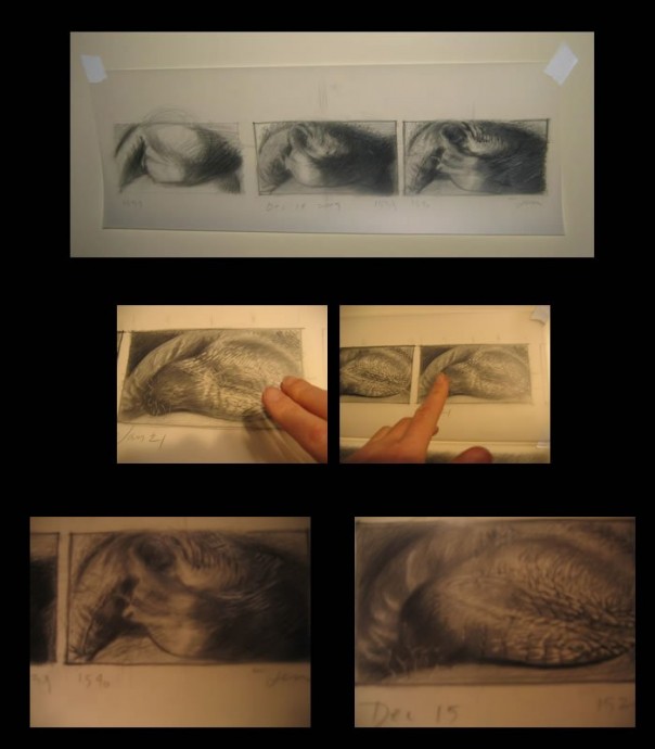 18+ Добро пожаловать в Европу. Выставка мошонок 18+ Добро пожаловать в Европу. Выставка мошонок