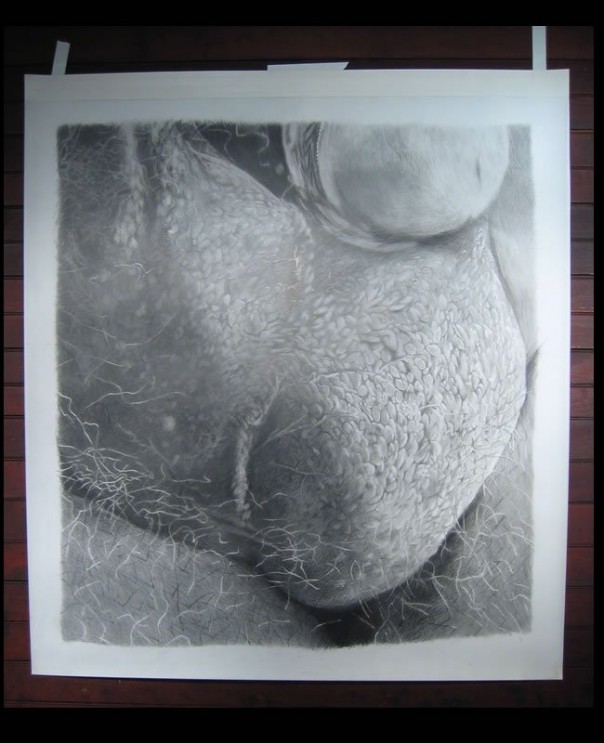 18+ Добро пожаловать в Европу. Выставка мошонок 18+ Добро пожаловать в Европу. Выставка мошонок