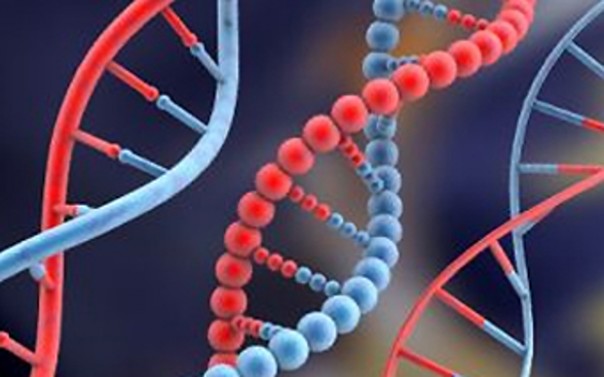 Вопрос закрыт: «ДНК русского и украинца – нет различий!»