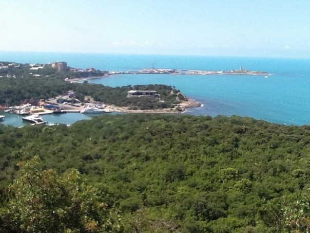 Кому достанется "дача Сердюкова" и где украденое?