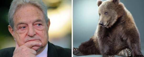 Разорится ли Россия в 2017 году? Разорится ли Россия в 2017 году?