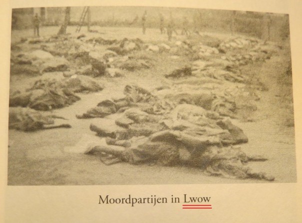 ЛЯПота: в Голландии издают книги о «сталинском голодоморе польской Львовщины» ЛЯПота: в Голландии издают книги о «сталинском голодоморе польской Львовщины»