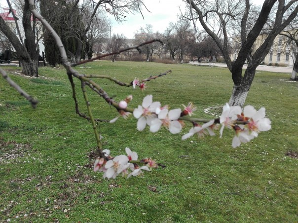 Весна пришла! Весна пришла!