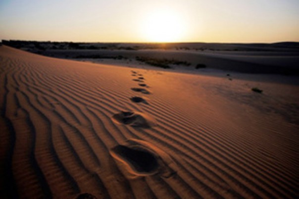 Саудовской Аравии предсказали экологическую катастрофу Саудовской Аравии предсказали экологическую катастрофу