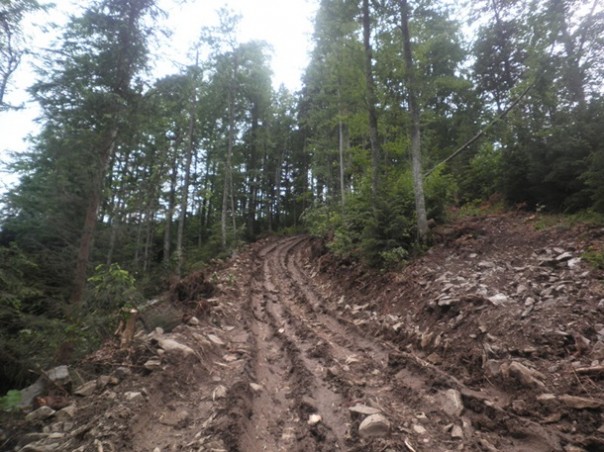 Украина превращается в пустыню... В прямом смысле этого слова... Украина превращается в пустыню... В прямом смысле этого слова...