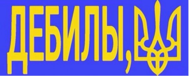 Мои новости дня Мои новости дня