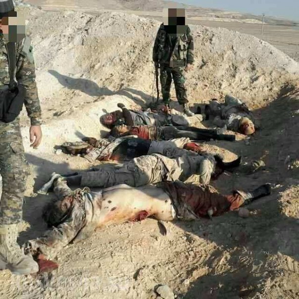 «Тигры» разрывают ИГИЛ: «дорога жизни» усеяна трупами и расстрелянными машинами боевиков (ФОТО, ВИДЕО 18+)