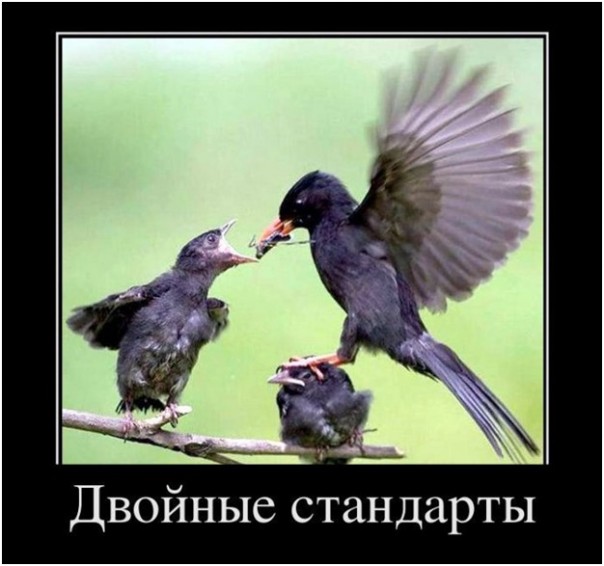 Киевский режим подпадает под экономические санкции Запада за саботаж минских соглашений. Юрий Селиванов
