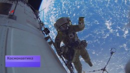 "Биоразнообразие" в космосе