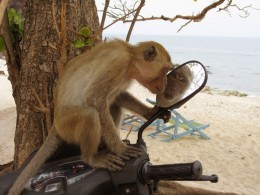 Bombanulo, или "Как написать смешной рассказ". GreenTea