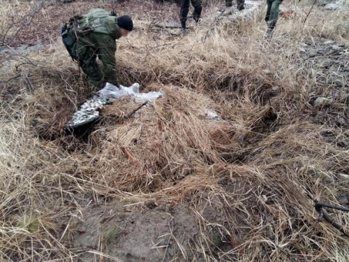 Сводка от НМ ЛНР 15 февраля 2016 года. В ЛНР накрыли ДРГ ВСУ и разорили тайник с оружием
