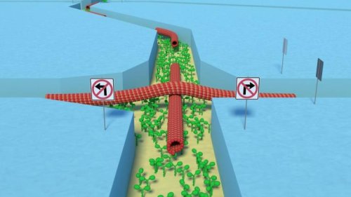 Новая подборка новостей мира науки и техники 01-03-2016 Новая подборка новостей мира науки и техники 01-03-2016