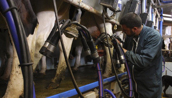 Регионы получили средства на развитие семейных животноводческих ферм