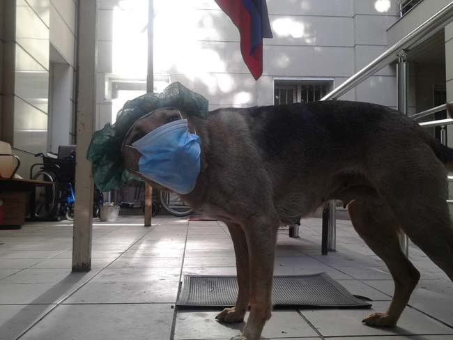 Нас там не было... (ч. 4-6) Нас там не было... (ч. 4-6)