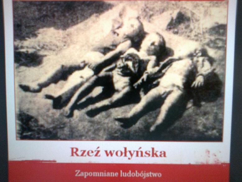 Польский журналист предложил отправить на Евровидение песню о Волынской резне Польский журналист предложил отправить на Евровидение песню о Волынской резне