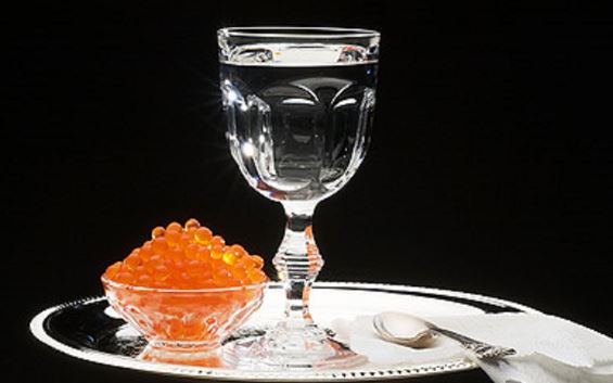 Российские дипломаты приучают европейских коллег к водке Российские дипломаты приучают европейских коллег к водке