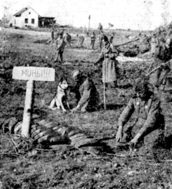 Неизвестная война. Собачья