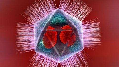 Новая подборка новостей мира науки и техники 14-03-2016