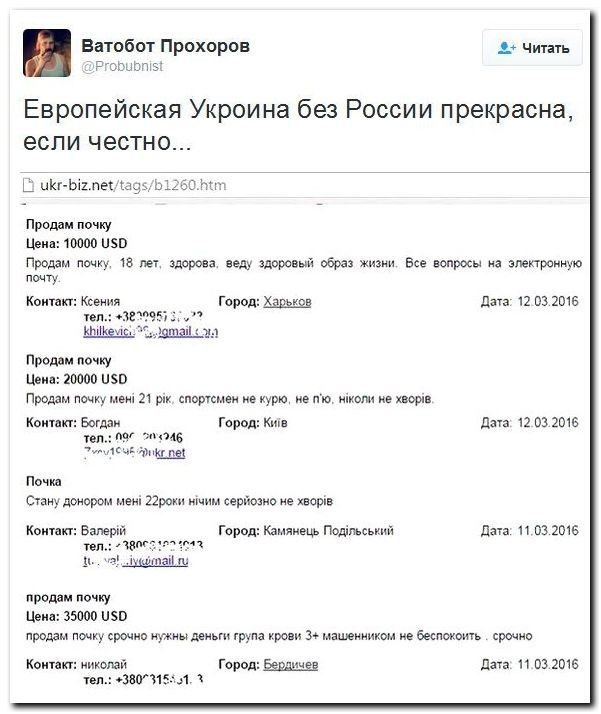 Traditor Debilis - Зрадодебилы