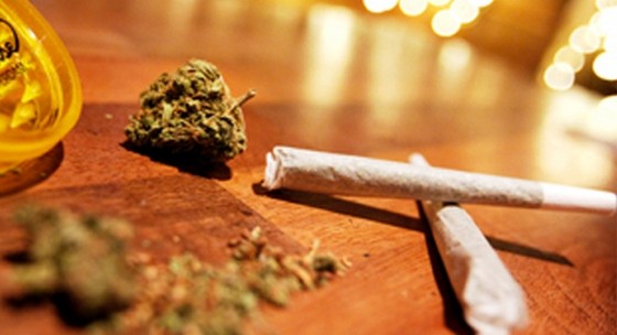 Голландская лошадь Виталия. Александр Зубченко