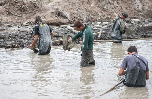 Янтарный апокалипсис. А Полесье? Да кому оно нужно
