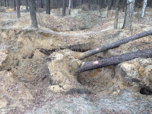 Янтарный апокалипсис. А Полесье? Да кому оно нужно