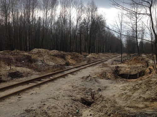 Янтарный апокалипсис. А Полесье? Да кому оно нужно