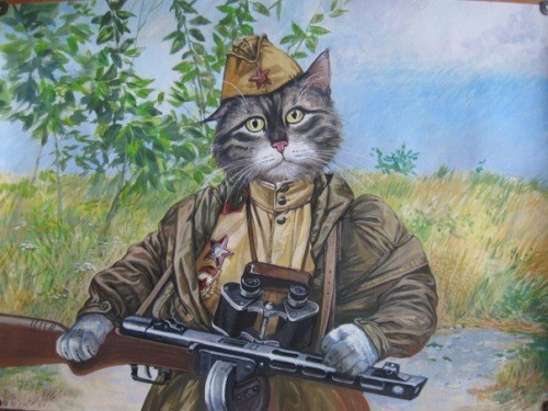 Русские боевые коты (Юмор) Русские боевые коты (Юмор)
