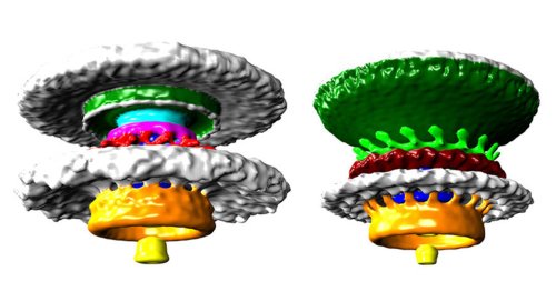 Новая подборка новостей мира науки и техники 21-03-2016 Новая подборка новостей мира науки и техники 21-03-2016